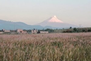 Gobierno comprar&aacute; m&aacute;s de 10 mil paquetes de herramientas para peque&ntilde;os productores