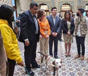 Verde Ecologista-Puebla propone &quot;Ley sacrificio cero” en caso de mascotas en abandono