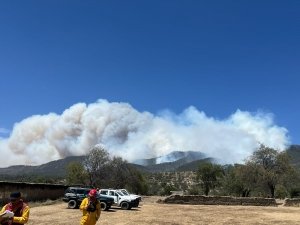 Continúa gobierno estatal trabajos de combate de incendios forestales