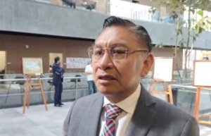 N&eacute;stor Camarillo es un desconocido y necesita reflectores: PT