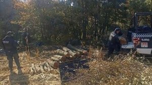 Defensores de La Malinche tienen taladores ilegales de árboles: Armenta