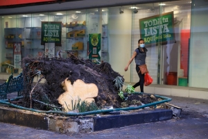 Para prevenir riesgos serán derribados 6 árboles del Zócalo de Puebla