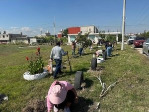 Fortalece Gobierno de la Ciudad acciones de reforestaci&oacute;n con 2 mil 600 &aacute;rboles gracias a Ra&iacute;ces del Futuro en el mes de octubre