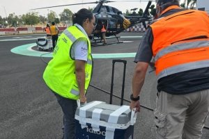 Puebla lleva esperanza a la CDMX con traslado exitoso de h&iacute;gado
