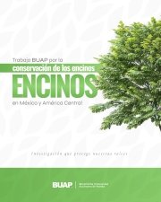 Trabaja BUAP para la conservaci&oacute;n de encinos en M&eacute;xico y Am&eacute;rica Central