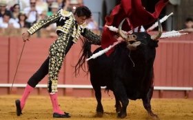 &iquest;Cultura o crueldad? El fin de la era de los privilegios taurinos en el M&eacute;xico de la transformaci&oacute;n