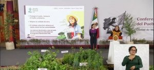 Desde Puebla, la Presidenta Claudia Sheinbaum arrancar&aacute; la Jornada Nacional de Reforestaci&oacute;n