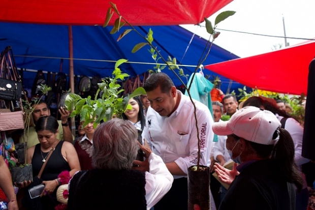 En Tlatlauquitepec, Armenta fortalece su campaña de reforestación.