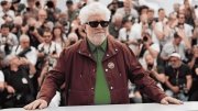 Las cintas m&aacute;s aclamadas de Pedro Almod&oacute;var rumbo al estreno de &ldquo;Amarga Navidad&rdquo;