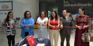 Inauguran en Biblioteca Central BUAP exposici&oacute;n de cuentos diversificados infantiles