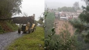 Tras intensas lluvias, comunidades en Tlatlauquitepec reportaron afectaciones graves
