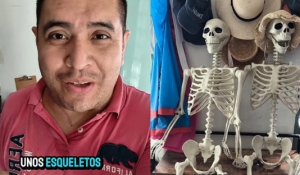 &ldquo;La compra fue en Temu y su esposo grab&oacute; todo&rdquo;: Mujer adquiere una &lsquo;familia&rsquo; de esqueletos en miniatura y recibe versiones tama&ntilde;o real