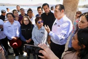 Fertipue: proyecto innovador que transformar&aacute; el lirio del Lago de Valsequillo