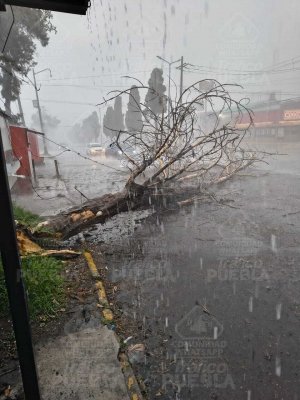 Unidades de emergencia municipal y estatal atienden daños por lluvia