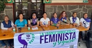 Colectivas de Puebla piden prohibir la explotaci&oacute;n reproductiva