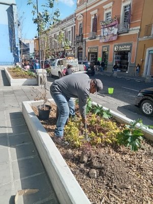 Gobierno de Pepe Chedraui impulsa el mantenimiento integral en la Plazuela Sor Juana In&eacute;s de la Cruz