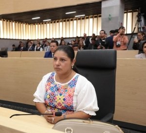 Pirotecnia tambi&eacute;n afecta a mascotas; llaman a poblanos a celebrar con responsabilidad