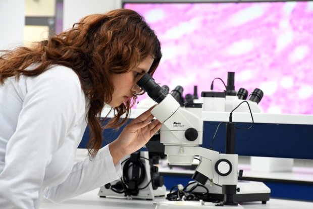 CU2: referente en innovación científica y formación de alta especialidad