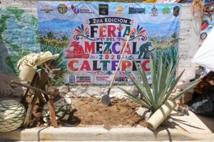 Gobierno Estatal impulsa mezcal, artesan&iacute;as y riqueza comunitaria en Caltepec