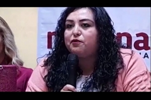 Piden diputados de MORENA comparecencia e investigación contra Teresa Castro Corro