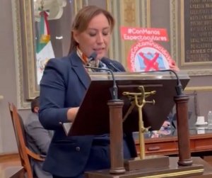 Ediles tienen que preparar su Manual de Identidad: Guadalupe Leal