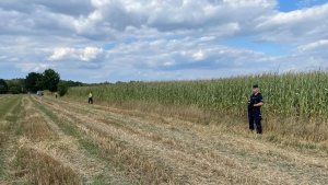 &#039;OVNI&#039; choca en campo de maíz y explota en Polonia: &quot;había restos de metal y plástico&quot;