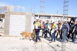 Con enfoque humanista, c&eacute;lula de bienestar animal registra avance del 38%