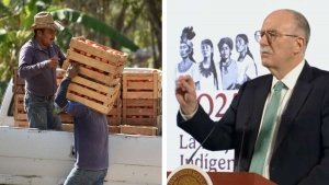 México y EE. UU. abren plazo de 90 días para evitar cuota al jitomate; “van a pagar más caro”: Agricultura