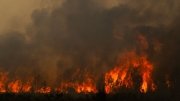 Incendios en Espa&ntilde;a y Francia Siguen Fuera de Control; Suman 260 Mil Personas Desalojadas