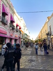 Centro Hist&oacute;rico, libre de comercio popular durante El Buen Fin: SGG