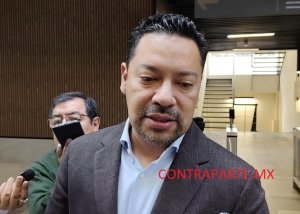 Popularidad no garantiza candidaturas en Morena; encuestas definir&aacute;n perfiles, afirma Villegas