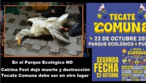 Lanzan petición en Change.org para cambiar sede del Tecate Comuna en Puebla