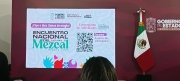 Puebla espera 40 mil visitantes en el Encuentro Nacional del Mezcal